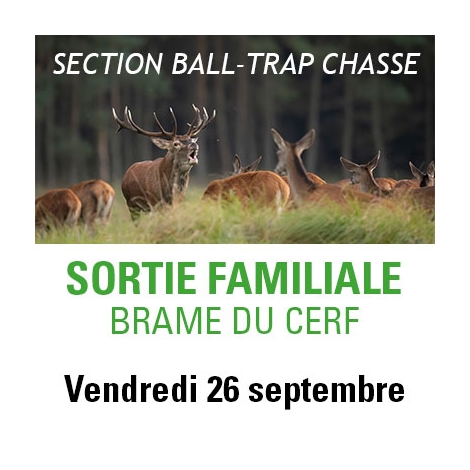 2025 - Sortie familiale brame du cerf à Compreignac